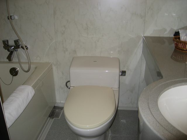 「オーベルジュ　トロイメライ」　白馬  その２_f0128714_058534.jpg