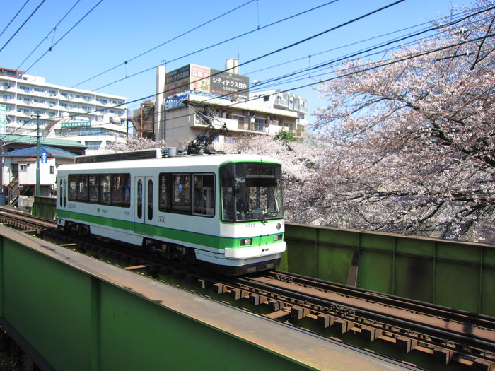 桜と都電の風景_f0128714_11145845.jpg