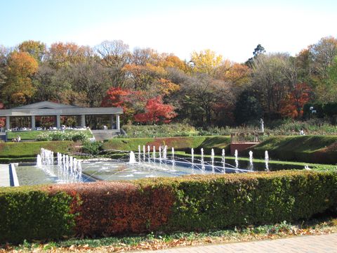 「神代植物公園」　調布_f0128714_1244392.jpg