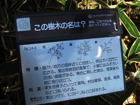 「神代植物公園」　調布_f0128714_1261738.jpg