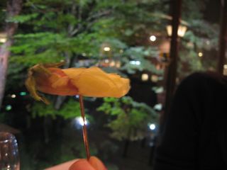 「箱根ホテル小涌園」 フレンチ　箱根_f0128714_1285595.jpg