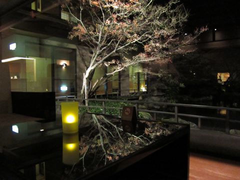 「御宿 かわせみ」　施設編　温泉旅館　福島_f0128714_13404240.jpg