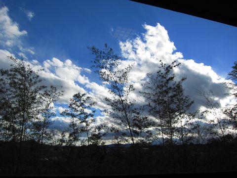 「御宿 かわせみ」　お部屋編　温泉旅館　福島_f0128714_14304679.jpg