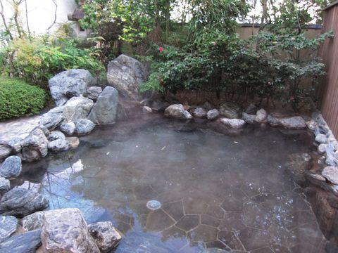 「御宿 かわせみ」　お風呂編　温泉旅館　福島_f0128714_15113739.jpg