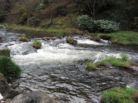 「庄助の宿 瀧の湯」　日帰り温泉　福島_f0128714_1591482.jpg
