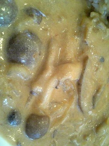 「fast-slow food:HARU」　ランチ　高田馬場_f0128714_1703171.jpg