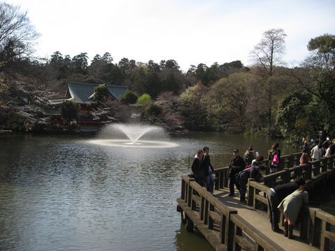 「井の頭公園」　お花見_f0128714_1818596.jpg