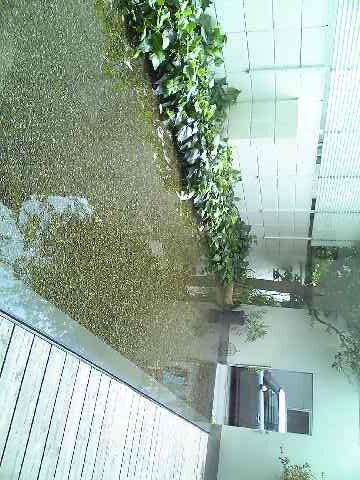 「MIZU NO SORA（みずのそら）」　カフェ　西荻窪_f0128714_1856292.jpg