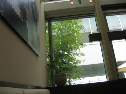 「OCEAN GRILL TOKYO」　イタリアン　新宿_f0128714_19191463.jpg