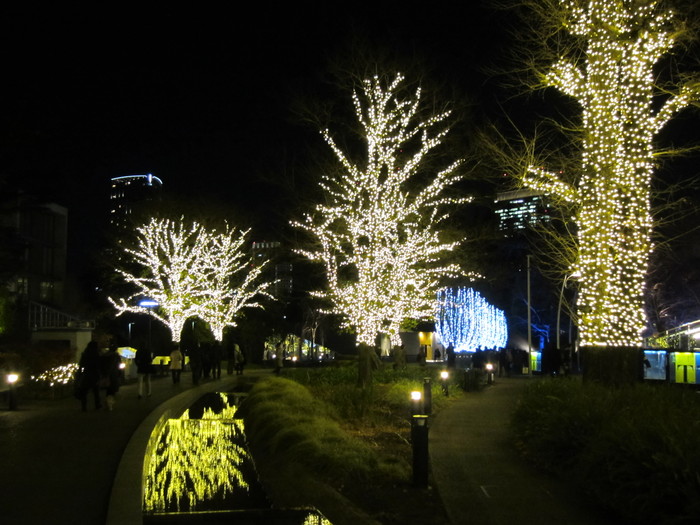クリスマスイルミネーション 2013年　　六本木_f0128714_21142528.jpg