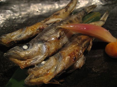 「maru」  居酒屋　吉祥寺_f0128714_2155295.jpg