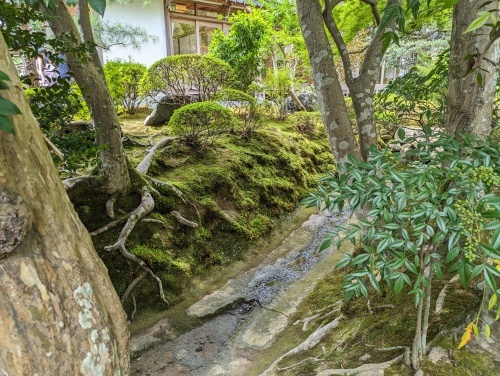 「妙徳山 華厳寺（鈴虫寺）」ひとつだけ願いが叶う寺　京都_f0128714_21553666.jpg