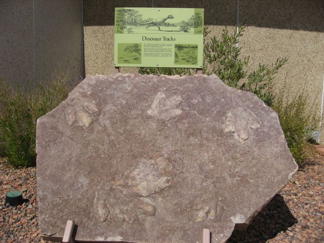 「グレン・キャニオン・ダム 」　【その１５】_f0128714_2212661.jpg