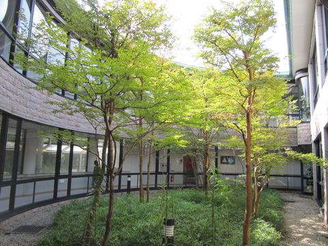 「和 奏 林」  箱根　お部屋_f0128714_2223573.jpg