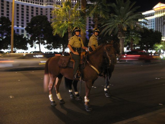 大人のラスベガス　【その２８】_f0128714_23194421.jpg
