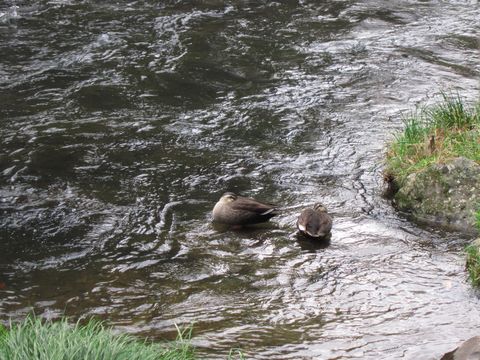 「庄助の宿 瀧の湯」　日帰り温泉　福島_f0128714_255254.jpg