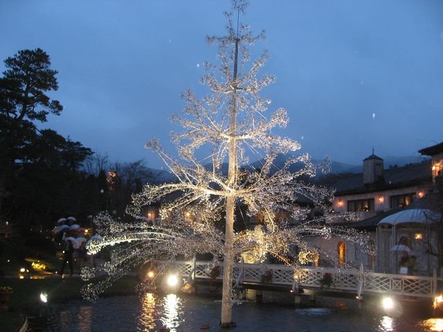 「箱根ガラスの森美術館」 　箱根_f0128714_12225953.jpg