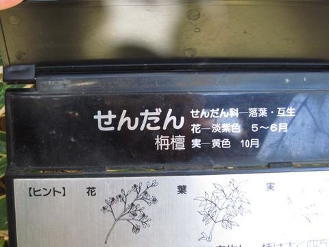 「神代植物公園」　調布_f0128714_1263274.jpg