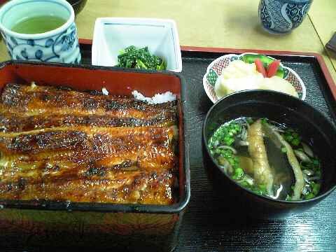 「愛川」　うなぎ　高田馬場_f0128714_21502433.jpg
