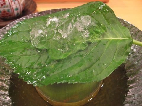 「近 藤」　創作和食　鎌倉　_f0128714_23265611.jpg