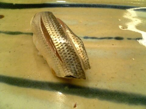 「鮨 一新」　寿司　赤坂_f0128714_94508.jpg