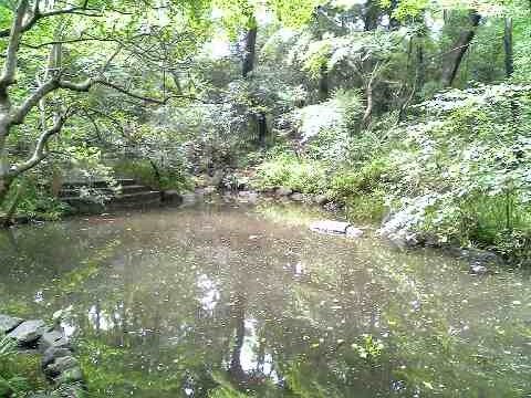 「おとめ山公園」 高田馬場_f0128714_21311210.jpg