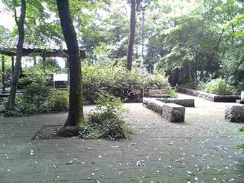 「おとめ山公園」 高田馬場_f0128714_21311241.jpg