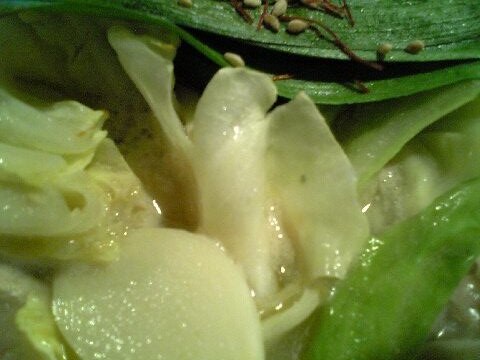 「福家(ふくわうち)」 郷土料理 高田馬場_f0128714_8423516.jpg