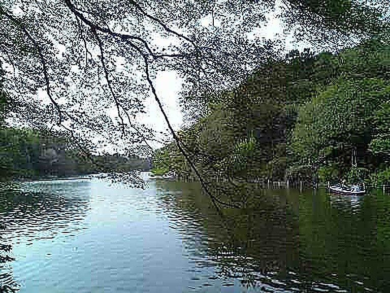 善福寺公園_f0128714_9381625.jpg