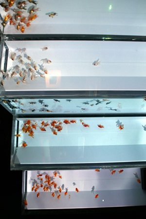 週末は芸術鑑賞!_f0128714_15574016.jpg