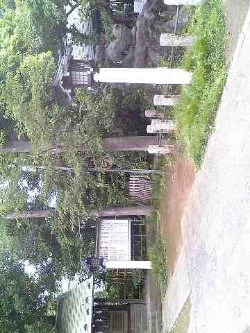 「氷川神社」　高田馬場_f0128714_23241426.jpg