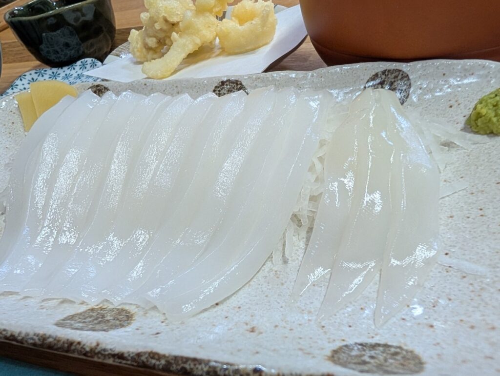 透き通るアオリイカの刺身